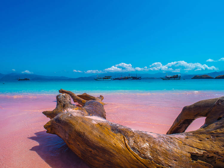 Pink Beach | Komodo Island, Indonesia