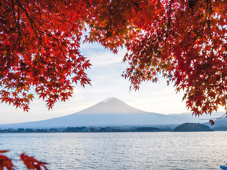 Here’s the official 2023 forecast for autumn leaves in Japan – updated