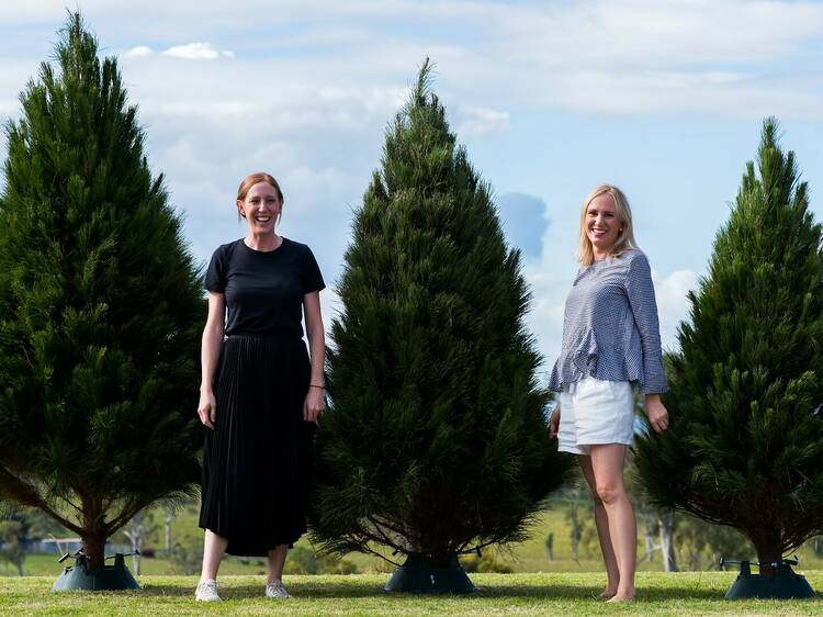 The Little Christmas Co is the family business bringing real Christmas trees to Brisbane