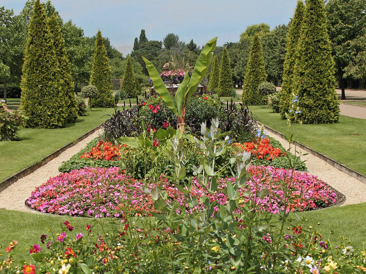 Smell the roses in Regent’s Park