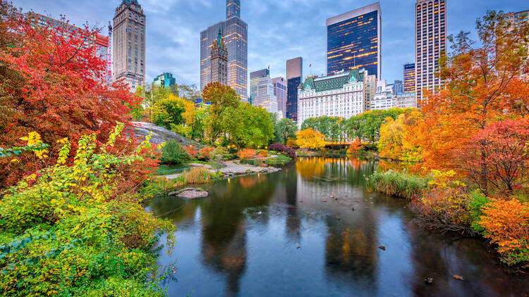 Central Park during autumn in New york City.