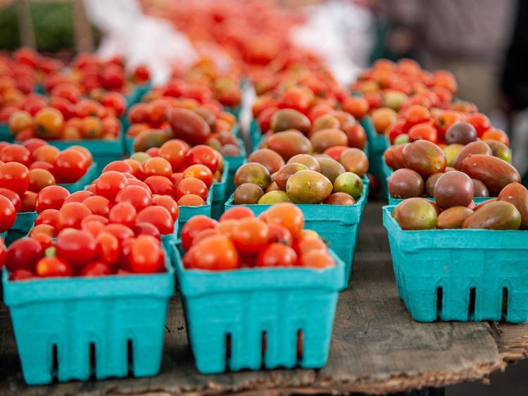 Pick up produce at Union Square Greenmarket