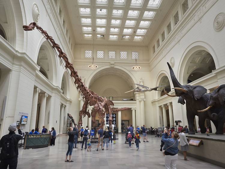 The best Chicago museums to explore