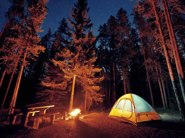 The best places to go camping near Chicago