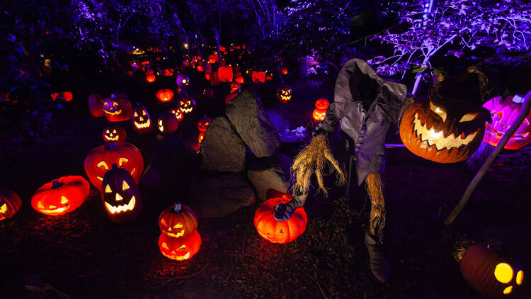 Halloween events in L.A. for spooky fun