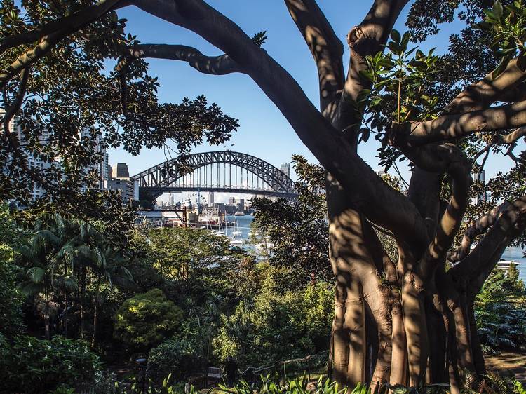 10 ways to live a more eco-friendly life in Sydney