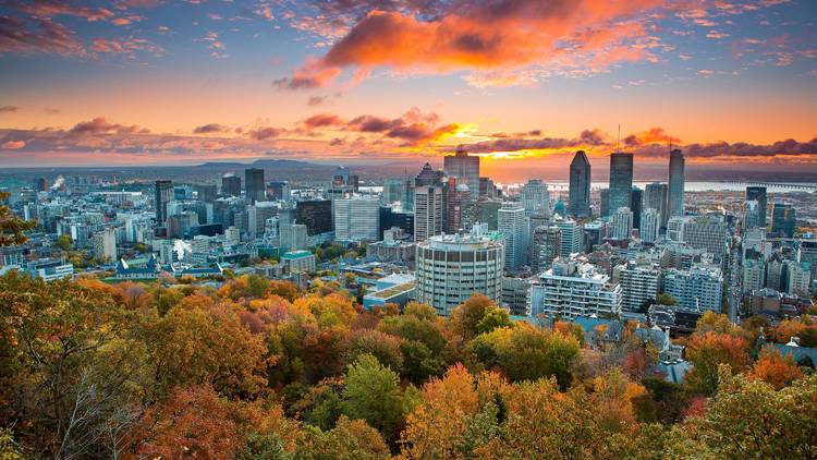 39 best things to do in Montreal right now