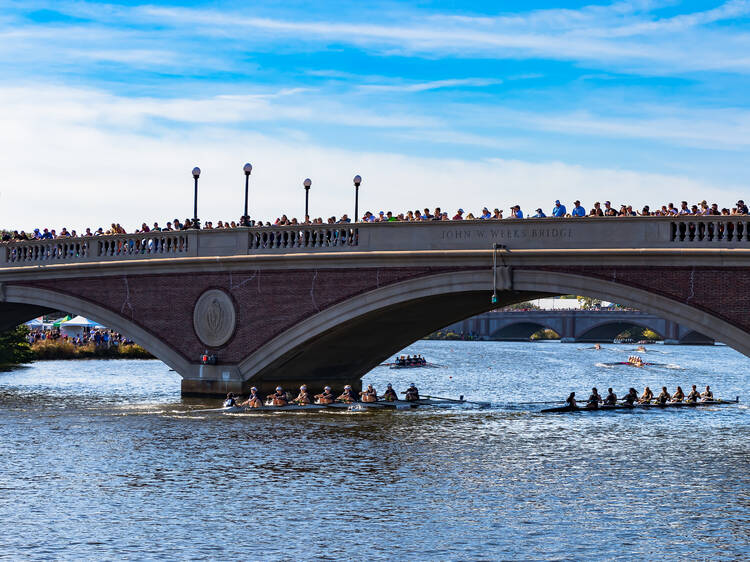 Head of the Charles Regatta 2023 in Boston: everything you need to know