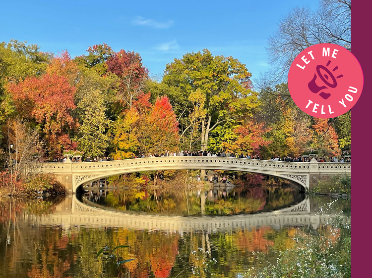 Let me tell you—here’s how to plan the perfect fall day in NYC
