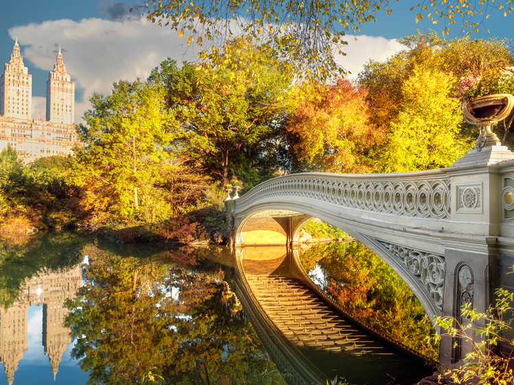 The 33 best things to do this fall in NYC